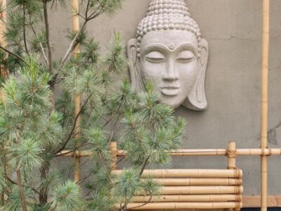 Yoga studio. Morning yoga. Interior of yoga studio. Buddha. Bench. Fir tree